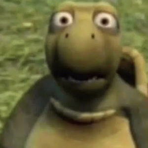 Meet your Posher, Jaime